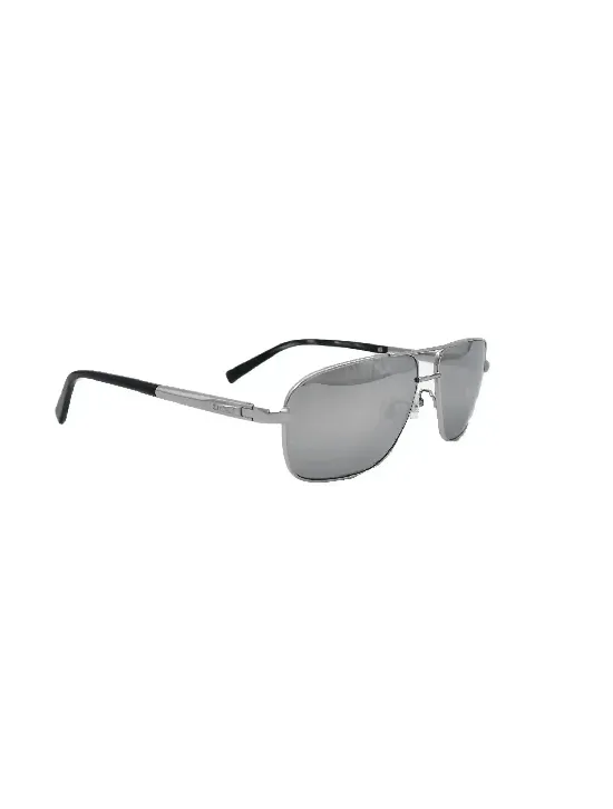 Zilli ZILLI Silver Titanium Acetate Sunglasses Silver 001