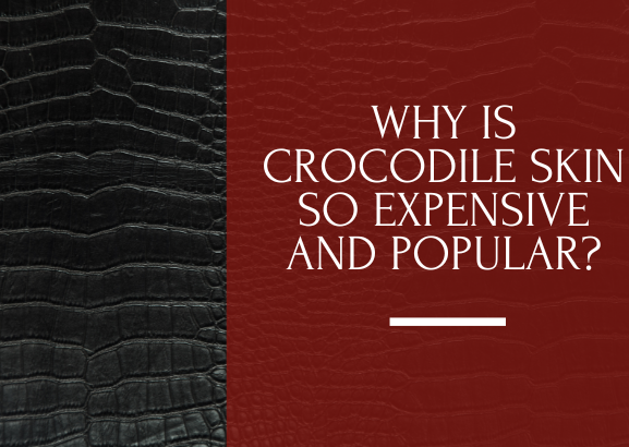why is crocodile skin so expensive and popular